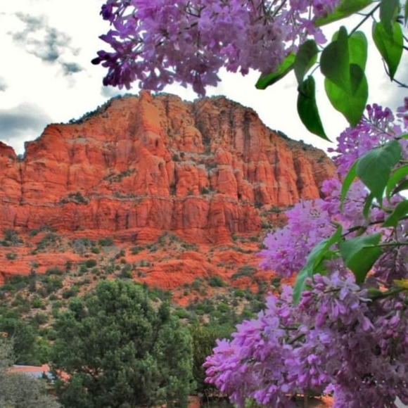 Meet your Posher, Lynnette - Picture 8 of 16